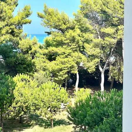 Un Raggio Di Sole - A Due Passi Dal Mare *